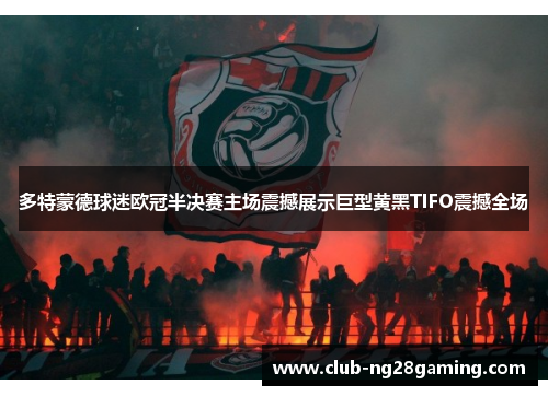 多特蒙德球迷欧冠半决赛主场震撼展示巨型黄黑TIFO震撼全场 多特蒙德球迷欧冠半决赛主场震撼展示巨型黄黑TIFO震撼全场
