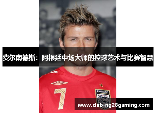 费尔南德斯：阿根廷中场大师的控球艺术与比赛智慧
